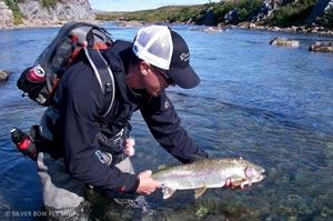 Sean releasing the swung rainbow after a great fight on a Winston 7wt MX rod. Don't leave home without your bear spray here!
