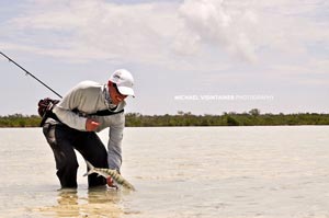 Sean releasing a nice Bahama Bonefish on a large flat he fished during June.