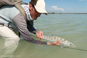 Mike Visintainer releasing his largest Bonefish of the trip to the Bahamas.