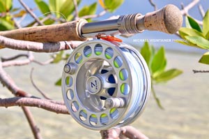 Our favorite fly reel for the saltwater the Hatch 7 plus hanging on mangrove. 