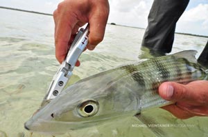 Sean Visintainer using the new Tempest Pliers from Hatch Outdoors to remove the fly from a bonefish.