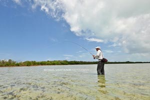 Sean Visintainer hooked up with a Bahama Bonefish on his favorite flat.