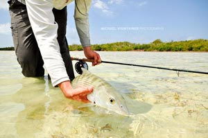 Sean Visintainer releasing an early morning Bonefish in the southern Bahamas.