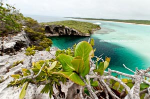 The world's largest sink hole at 663' deep! Tarpon, sharks, and many other sea creatures cruise here.