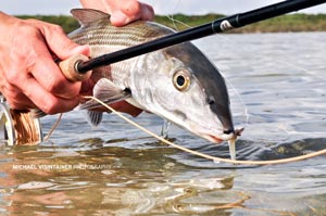 The Winston MX takes another bonefish on the flats of Long Island, Bahamas.