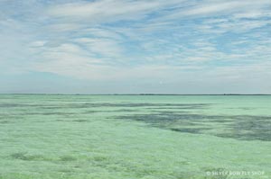 One of many flats that surround San Pedro loaded with Bonefish, Tarpon, and Permit.