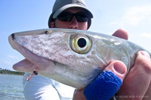 Close up of Josh's Bonefish caught north of San Pedro near Rocky Point. Josh had tied the krystal shrimp pattern hanging from the fish's mouth prior to the trip.