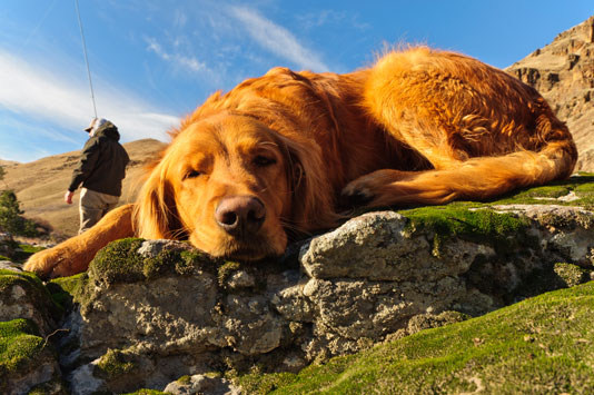 Ed enjoying some rays on a cold day on the Grande Ronde.