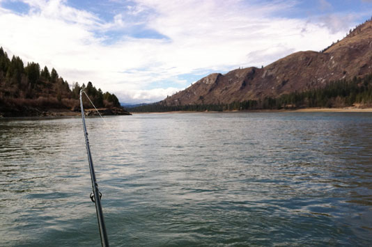 Upper Columbia River view from the back of the boat.