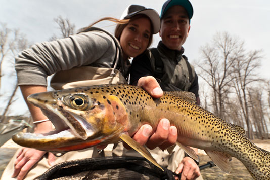 St Joe Westslope Cutthroat Trout.