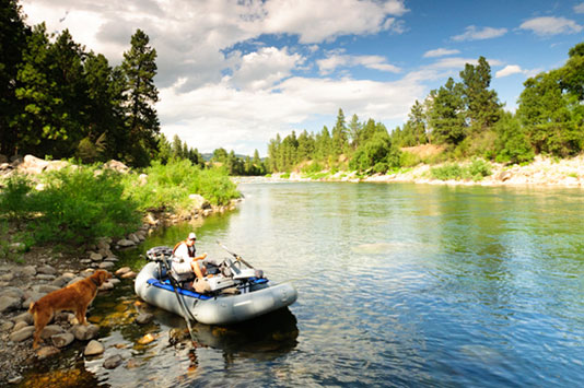 Upper Spokane River Redband Trout.