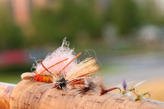 Fall Trout Fly Fishing Flies - Mahogany Dun Mayfly, October Caddis and Blue Winged Olive Mayfly.