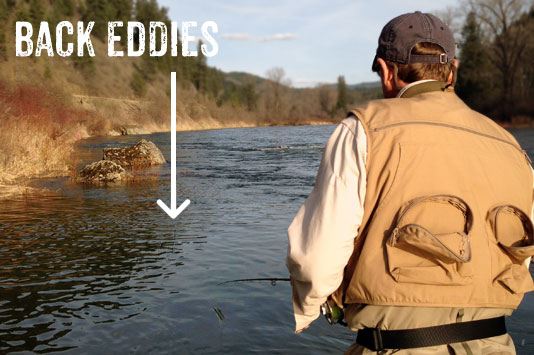 Fly Fishing the Back Eddies for Cutthroat Trout.