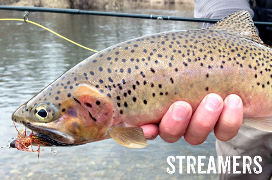 Fly Fishing Streamer Patterns.