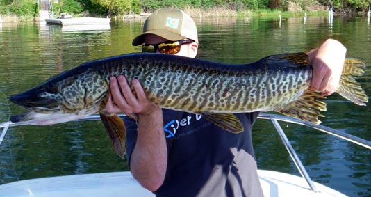 Wayne Jordan's Musky