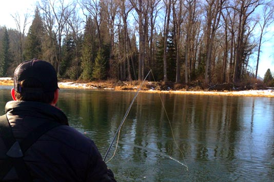 Fly Fishing Slow Currents on the North Fork of the Coeur d'Alene River.