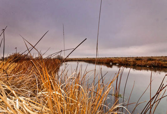 Rocky Ford Creek Sunset.