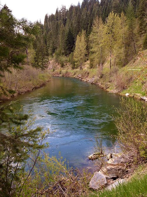 North Fork of the Coeur d'Alene River.