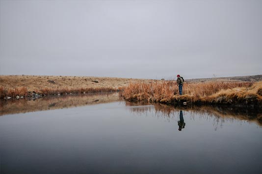 Winter Fly Fishing at Rocky Ford Creek in Central Washington.