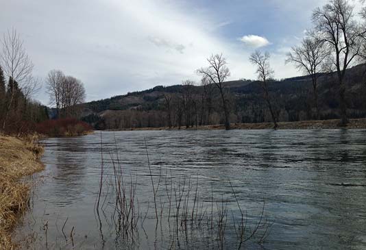 Fishing Indents in the River Bank.