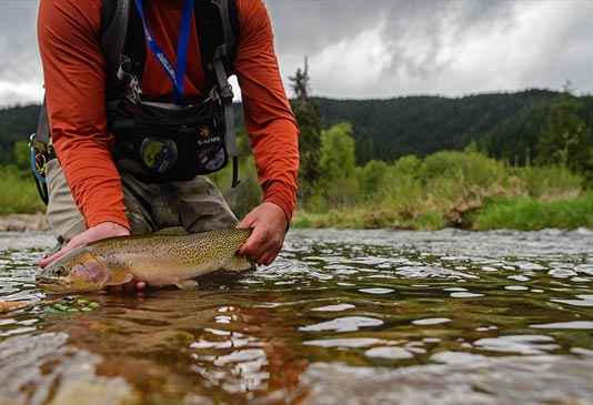 Female Cutthroat caught and release just after the weather cleared.