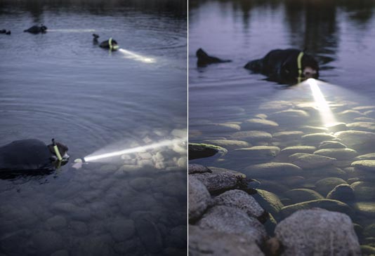 Snorkeling the Spokane River.