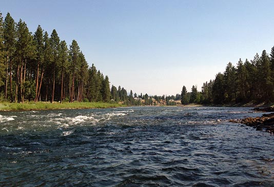 Fly fishing the indside corner pockets of seems.