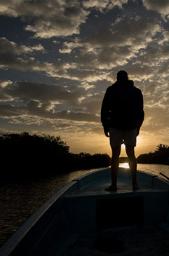 Fly Fisherman silhouette.