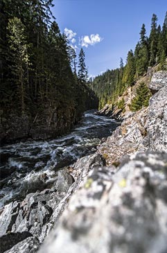 Whitewater on the St Joe River.