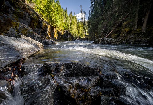 St. Joe River above Avery.