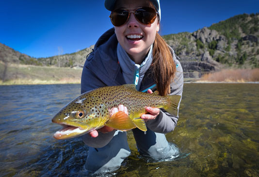 Missouri River Brown Trout.