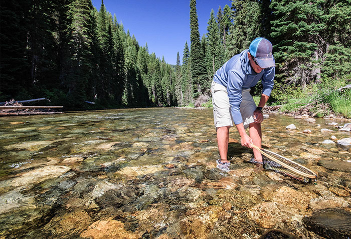 Fly Fishing Small Streams.