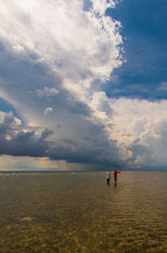 Casting on a flat at Turneffe Flats, Belize.