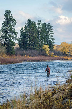 Felix Fall Swing on the Spokane River.