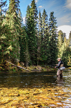 Fall trout fishing in Idaho.