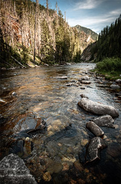 Fall trout fishing in Idaho.