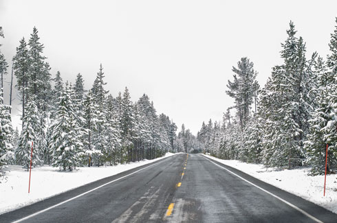 Snowy roads near the Norris Junction in Yellowstone Park.