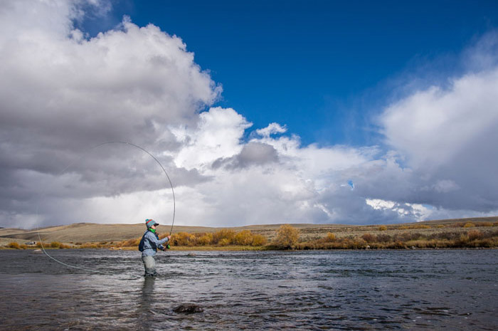 Trout spey casting on Wyoming's Green River for brown trout.