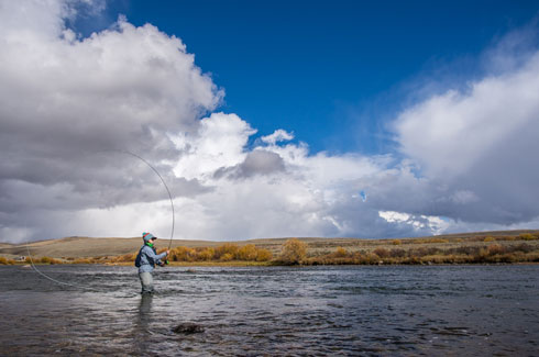 Casting on the Green River in Wyoming.