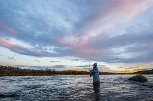 Evening trout spey on the Wyoming Green River.