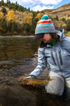 A nice Snake River cuttthroat being released on the South Fork Snake.