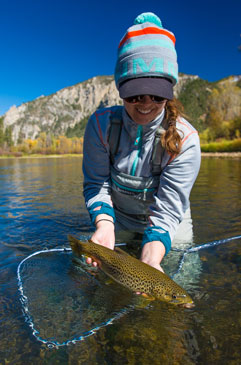 A beautiful brown trout caught by Jennifer Nepean on the South Fork Snake River in Idaho.