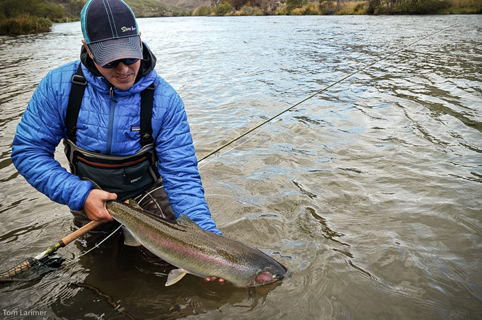 G. Loomis Spey Rod.