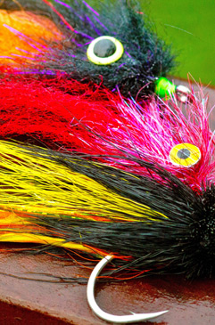 Golden Dorado Fly Patterns.