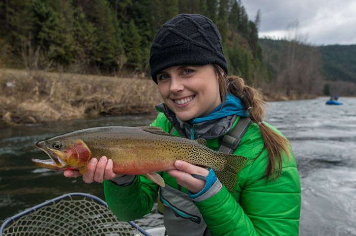 Jen with a nice St Joe River Cutty on a dry fly.