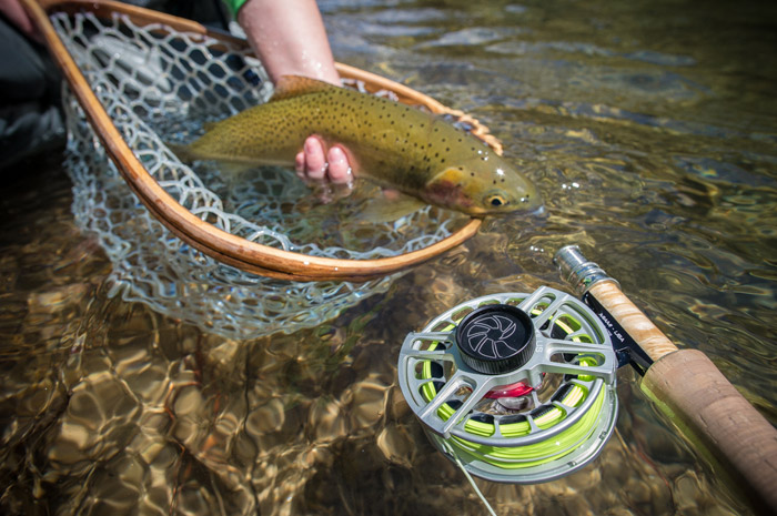 Nautilus X Fly Reel