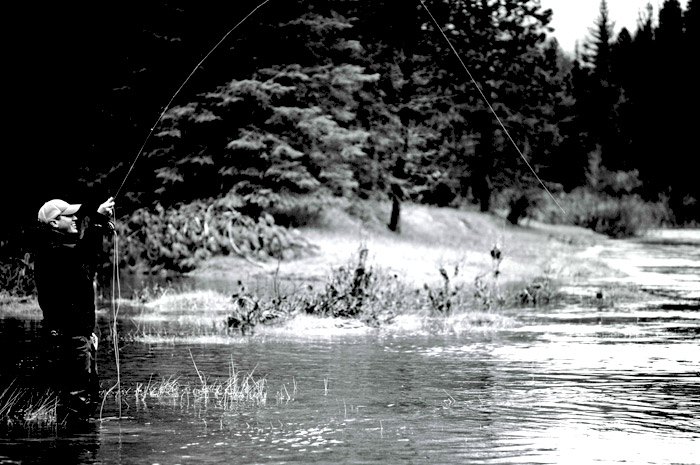 North Fork of the Coeur d'Alene River Idaho.