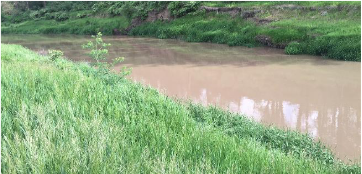 Hangman Creek in May, 2016. Runoff clogged the creek with sediment.