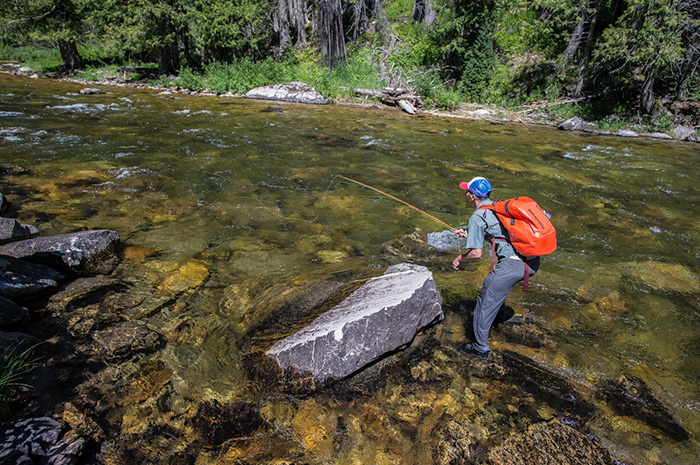 Fly Fishing Kelly Creek