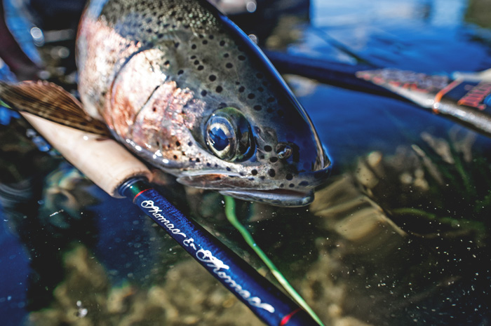 Thomas and Thomas Fly Rod